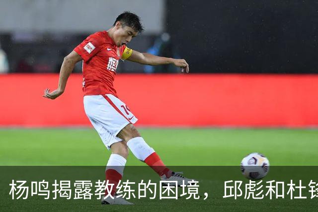 杨鸣揭露教练的困境，邱彪和杜锋的小团队行为是否成为自保策略？