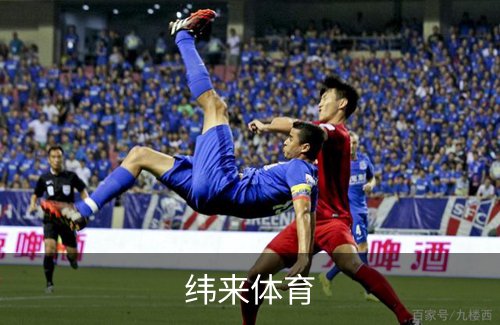 了解纬来体育