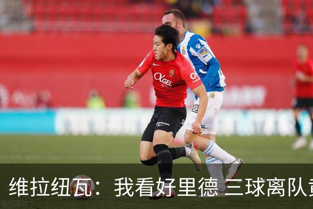 维拉纽瓦：我看好里德 三球离队黄蜂的实力反而得到了提升